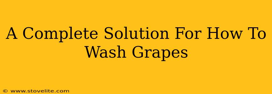 A Complete Solution For How To Wash Grapes