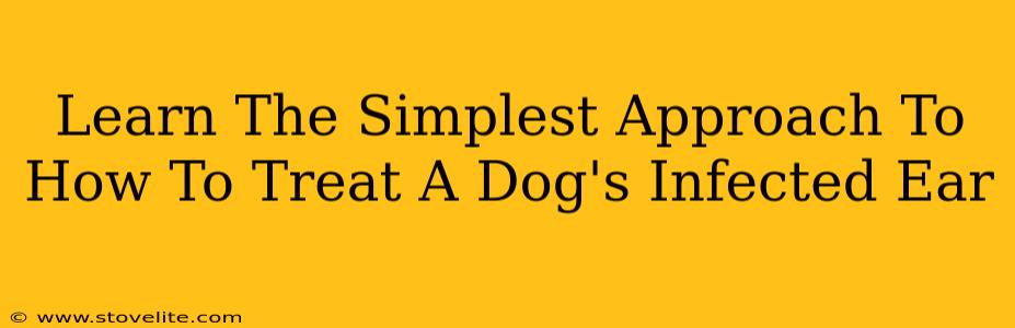 Learn The Simplest Approach To How To Treat A Dog's Infected Ear